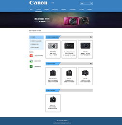 佳能網(wǎng)頁設(shè)計與制作 專業(yè)、技術(shù)與用戶體驗的完美融合